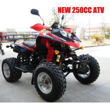 CEE 250CC QUAD ATV (MC-382)